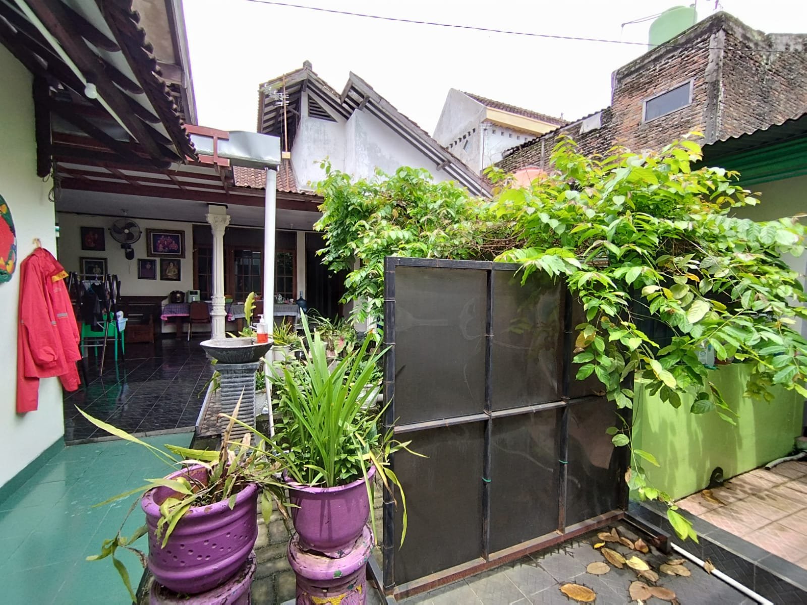 WhatsApp Image 2023-06-06 at 16.57.43