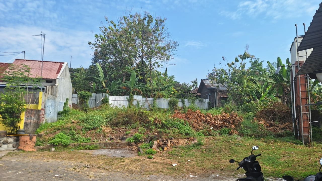 WhatsApp Image 2023-06-17 at 11.58.41