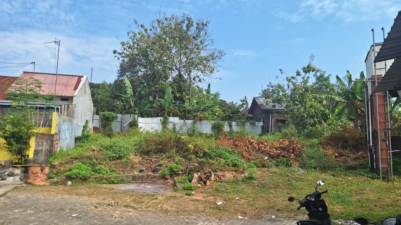 WhatsApp Image 2023-06-17 at 11.58.41(1)