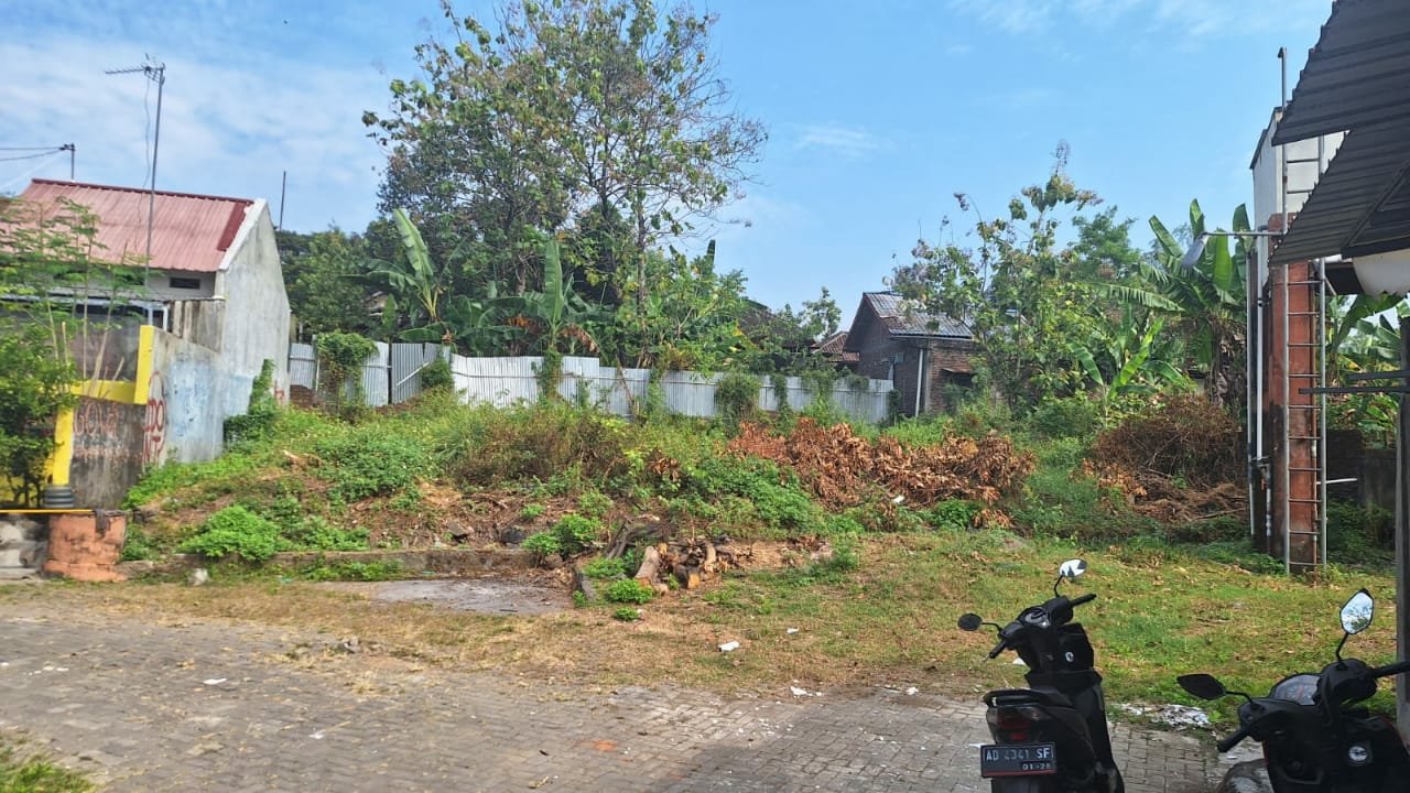 WhatsApp Image 2023-06-17 at 11.58.42