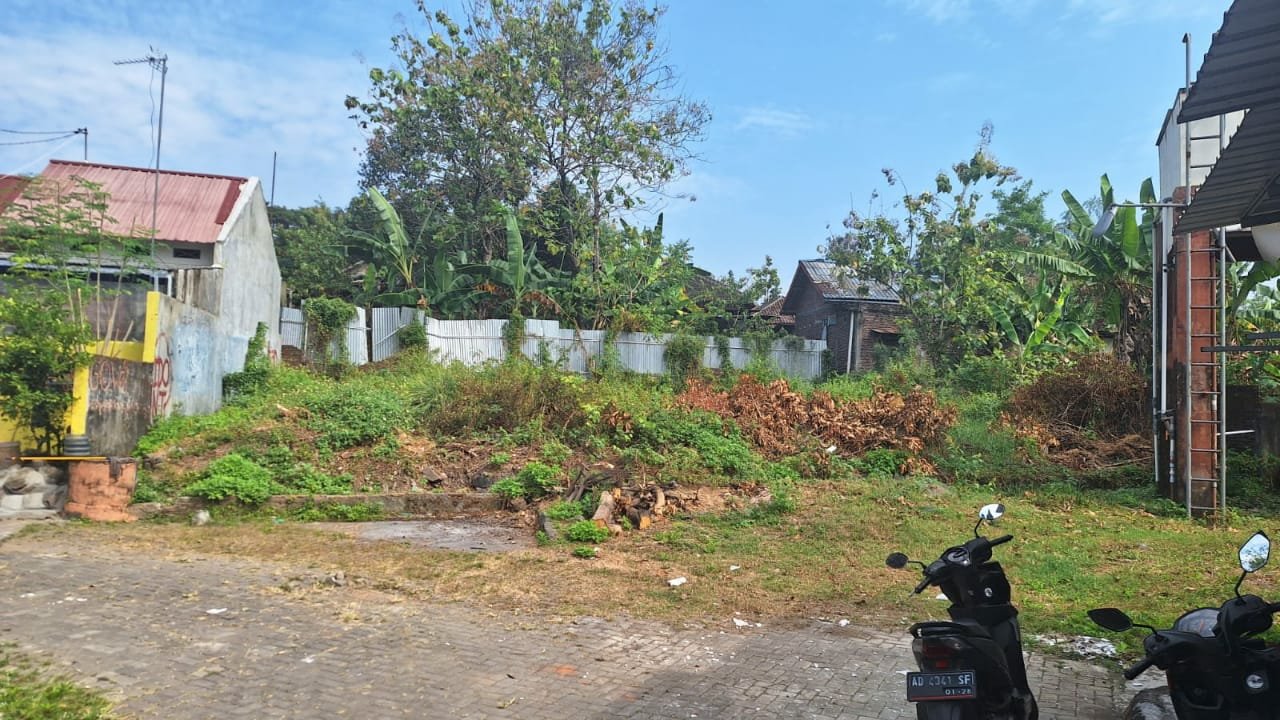 WhatsApp Image 2023-06-17 at 11.58.42(1)