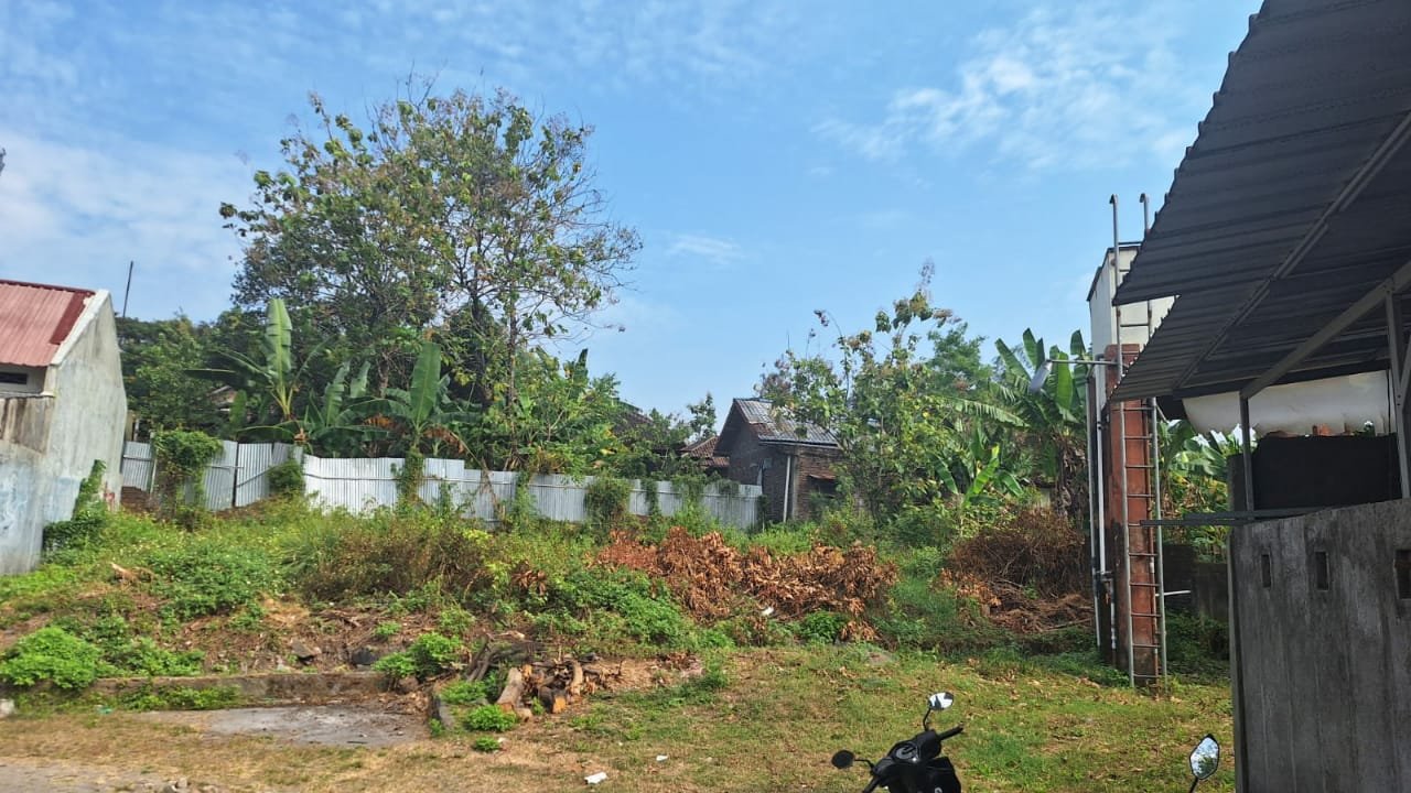 WhatsApp Image 2023-06-17 at 11.58.43