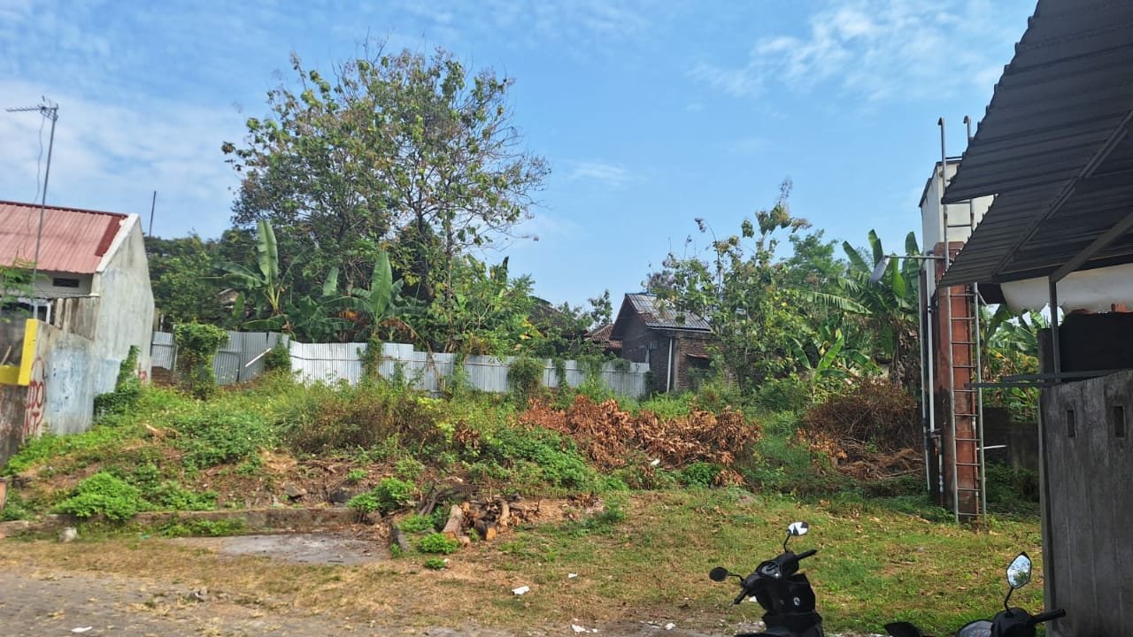 WhatsApp Image 2023-06-17 at 11.58.43(1)