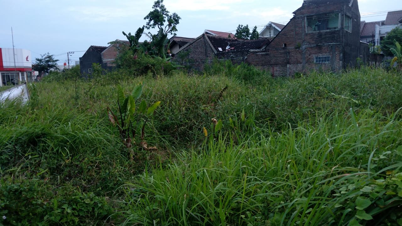 WhatsApp Image 2023-07-10 at 11.26.53