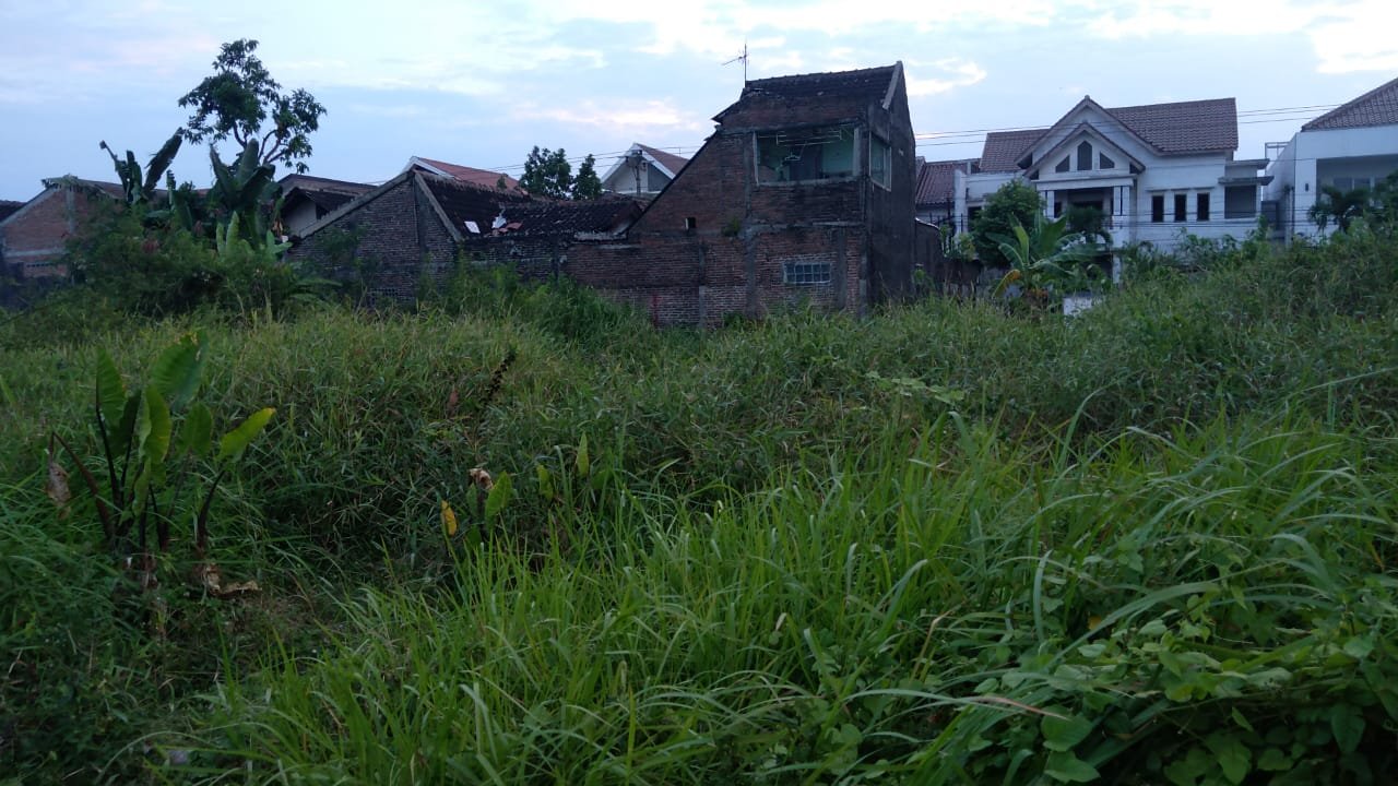 WhatsApp Image 2023-07-10 at 11.26.54