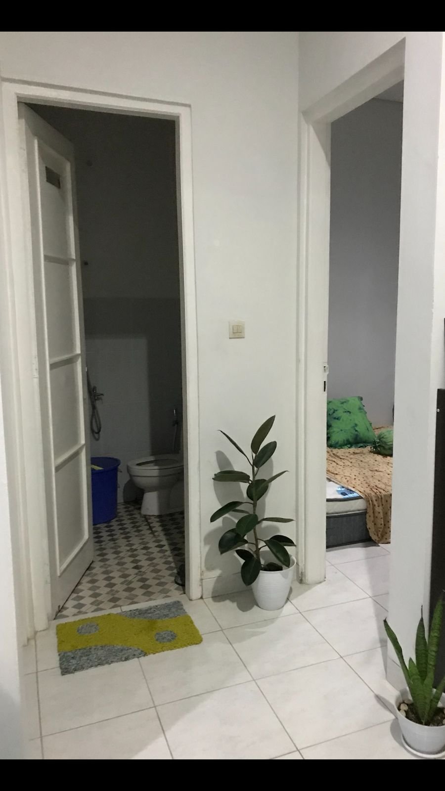 WhatsApp Image 2023-11-10 at 10.58.06