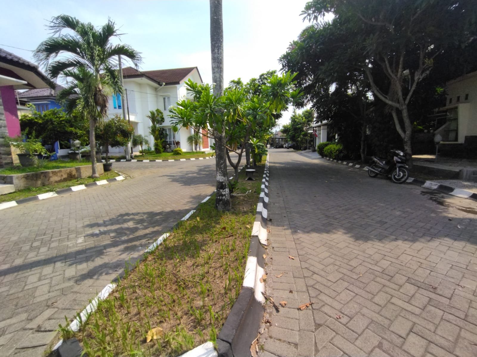 WhatsApp Image 2023-12-09 at 11.47.51