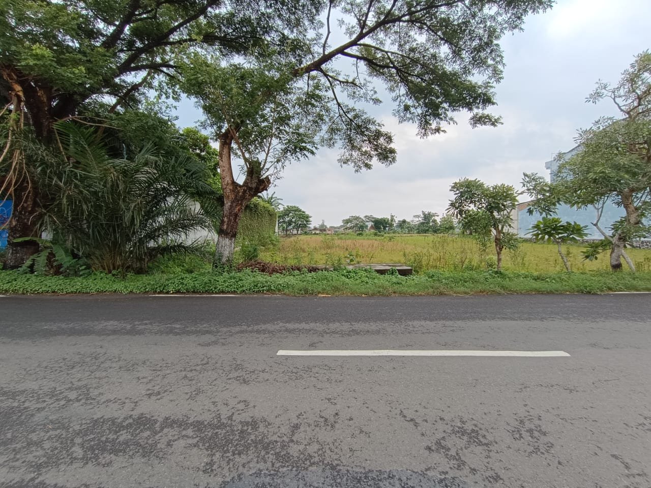 WhatsApp Image 2024-01-25 at 10.15.47