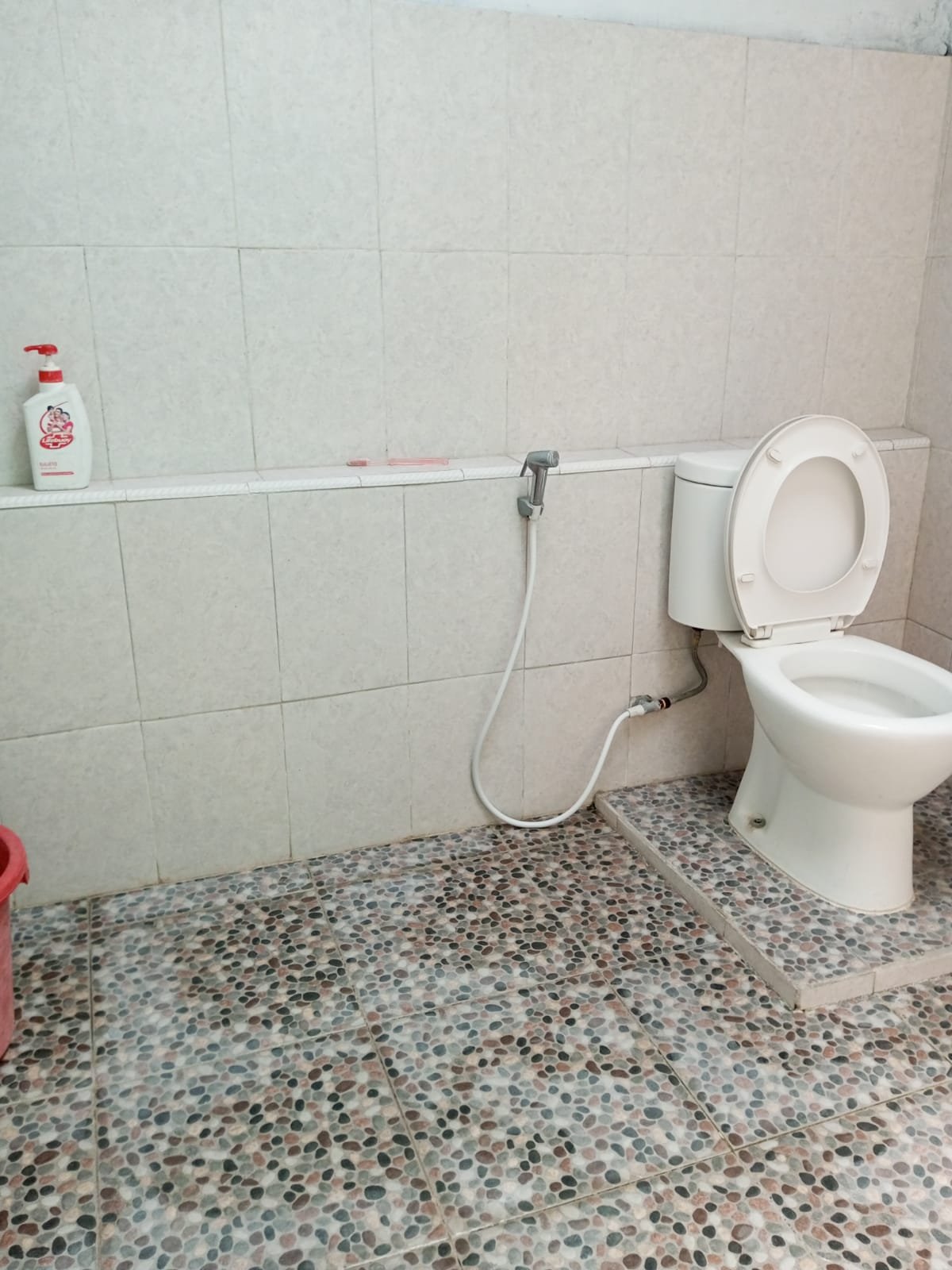 WhatsApp Image 2024-02-28 at 08.52.17 (1)