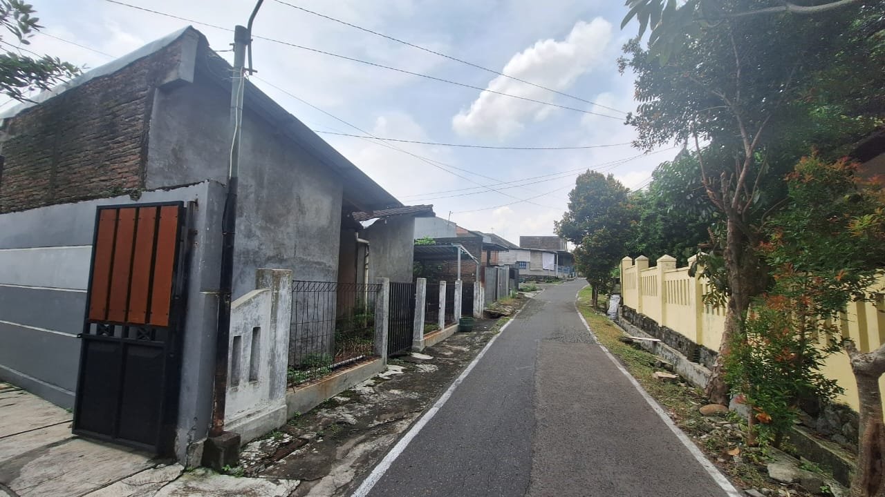 WhatsApp Image 2024-03-30 at 08.51.09