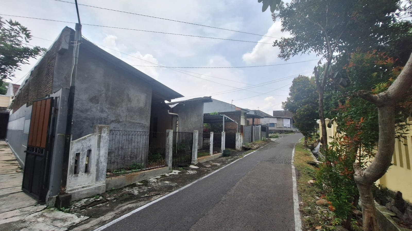 WhatsApp Image 2024-03-30 at 08.51.09(1)