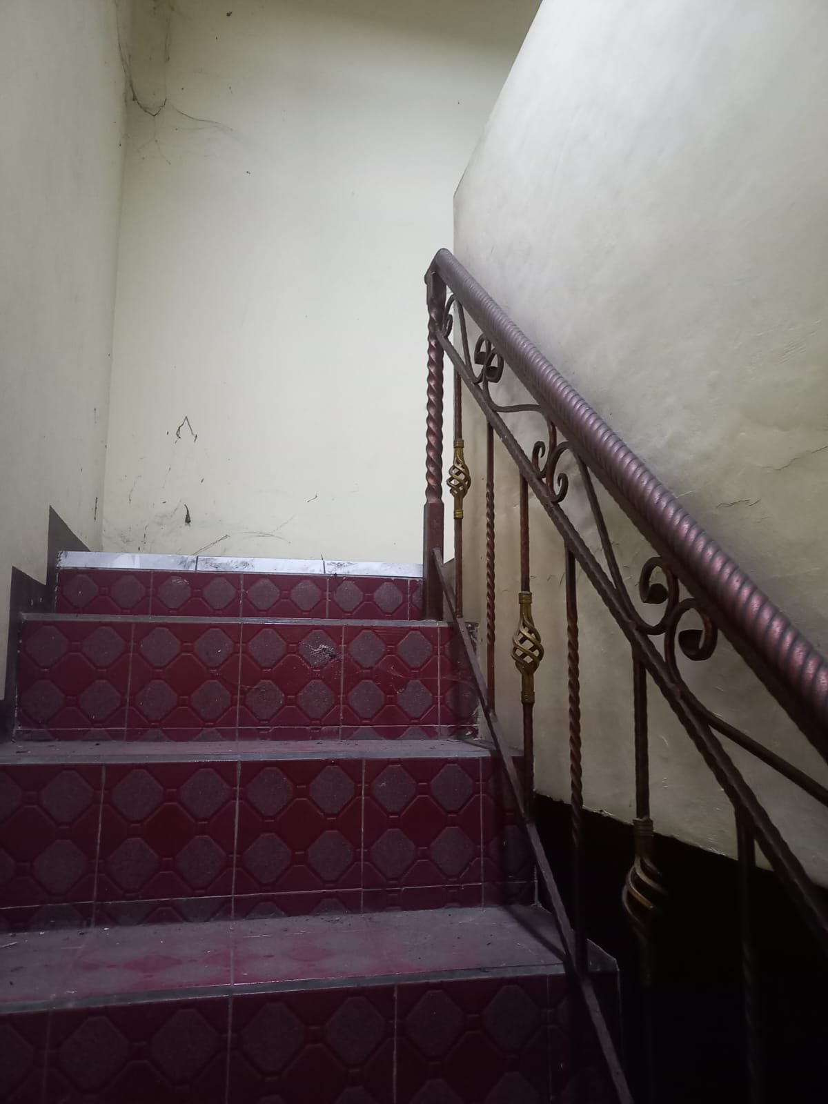 WhatsApp Image 2024-05-13 at 11.58.48 (1)