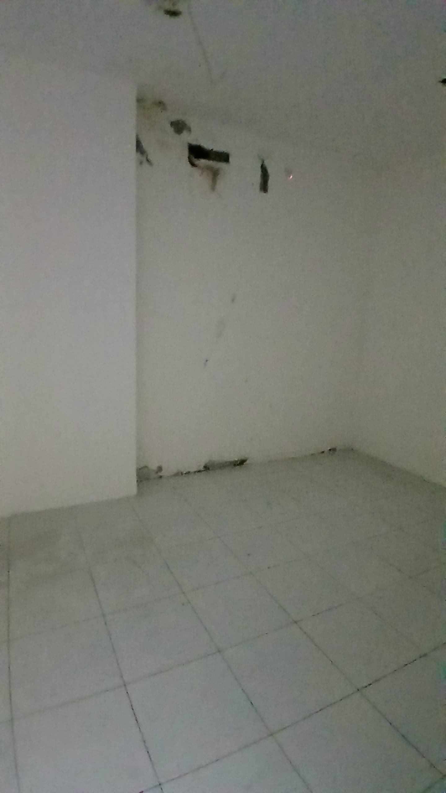 WhatsApp Image 2024-06-29 at 15.11.00 (1)