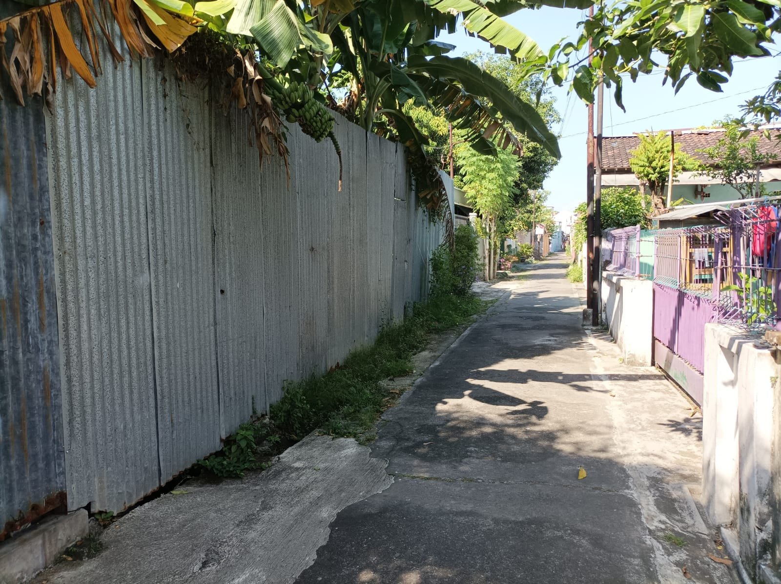 WhatsApp Image 2024-07-07 at 18.58.11 (1)