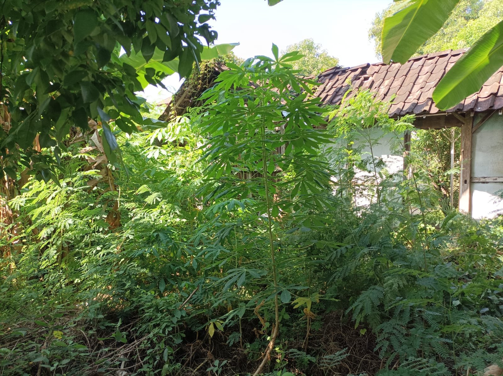 WhatsApp Image 2024-07-07 at 18.58.13 (1)