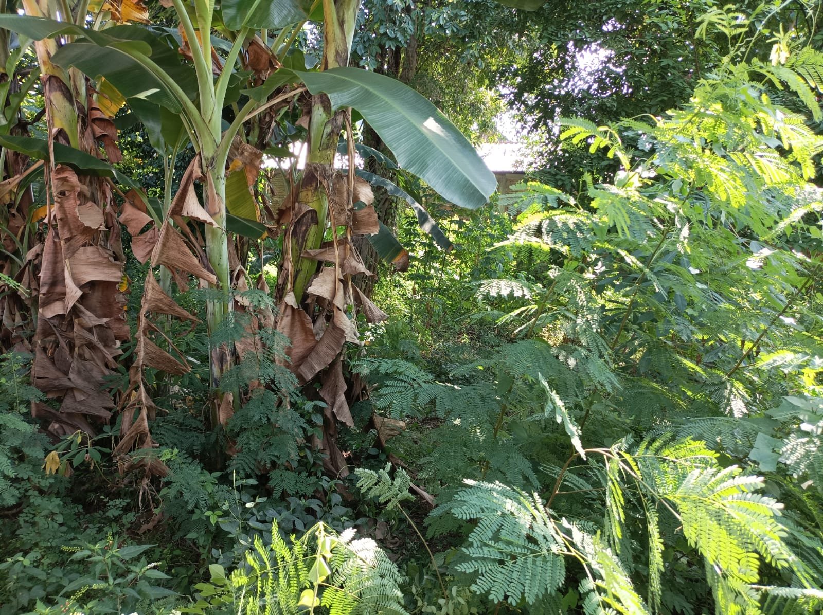 WhatsApp Image 2024-07-07 at 18.58.13