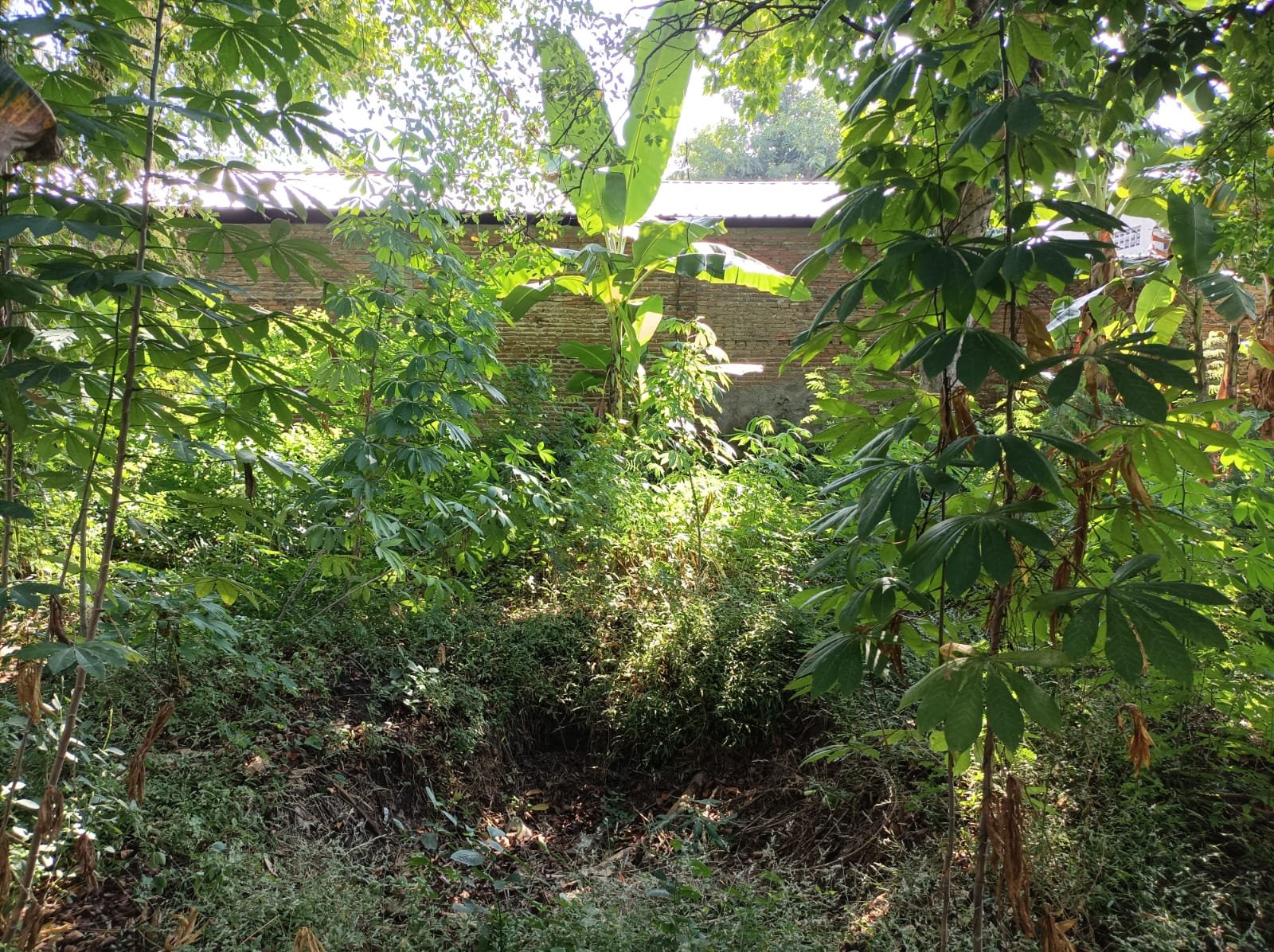 WhatsApp Image 2024-07-07 at 18.58.14 (1)