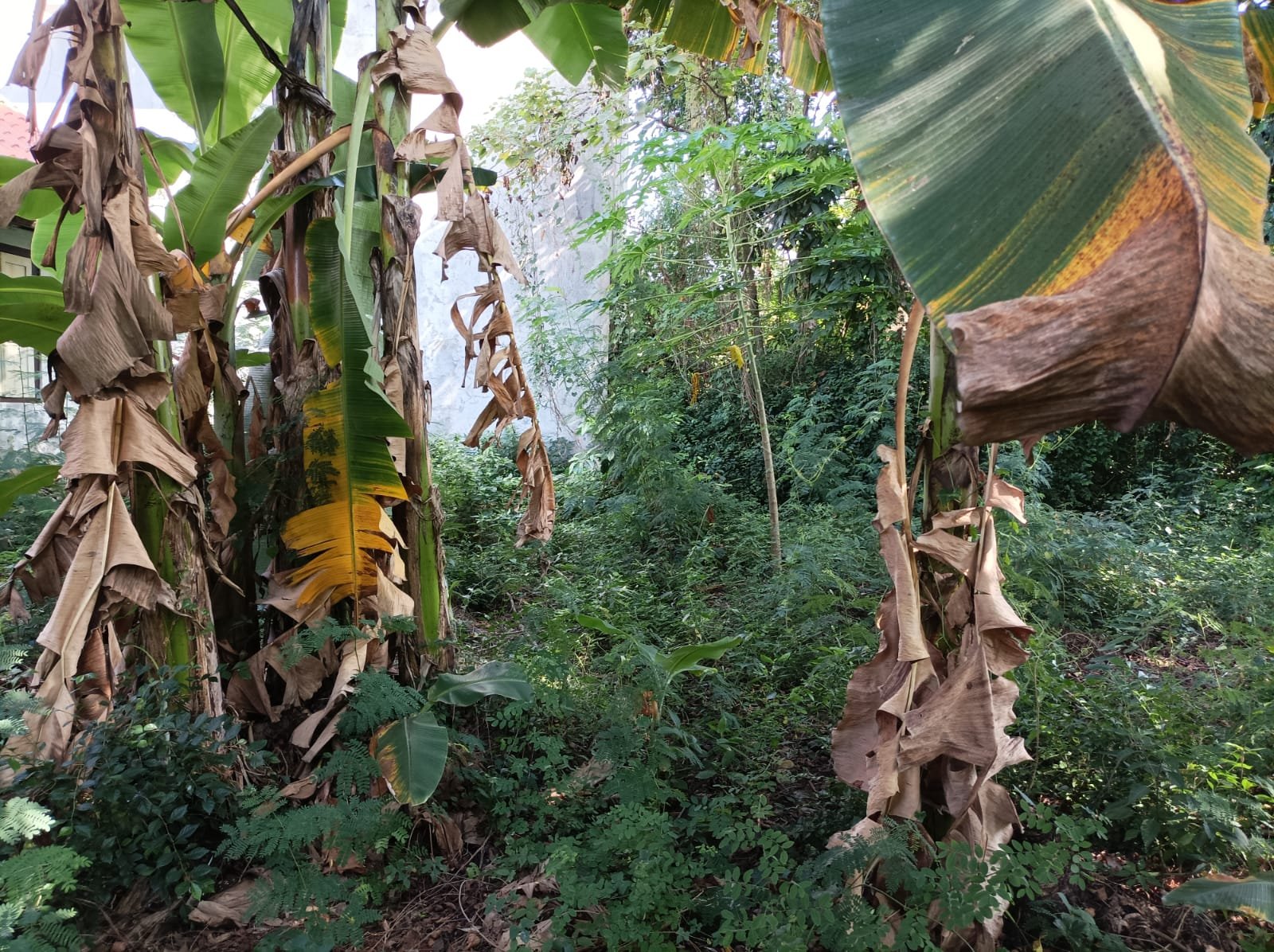 WhatsApp Image 2024-07-07 at 18.58.14 (2)