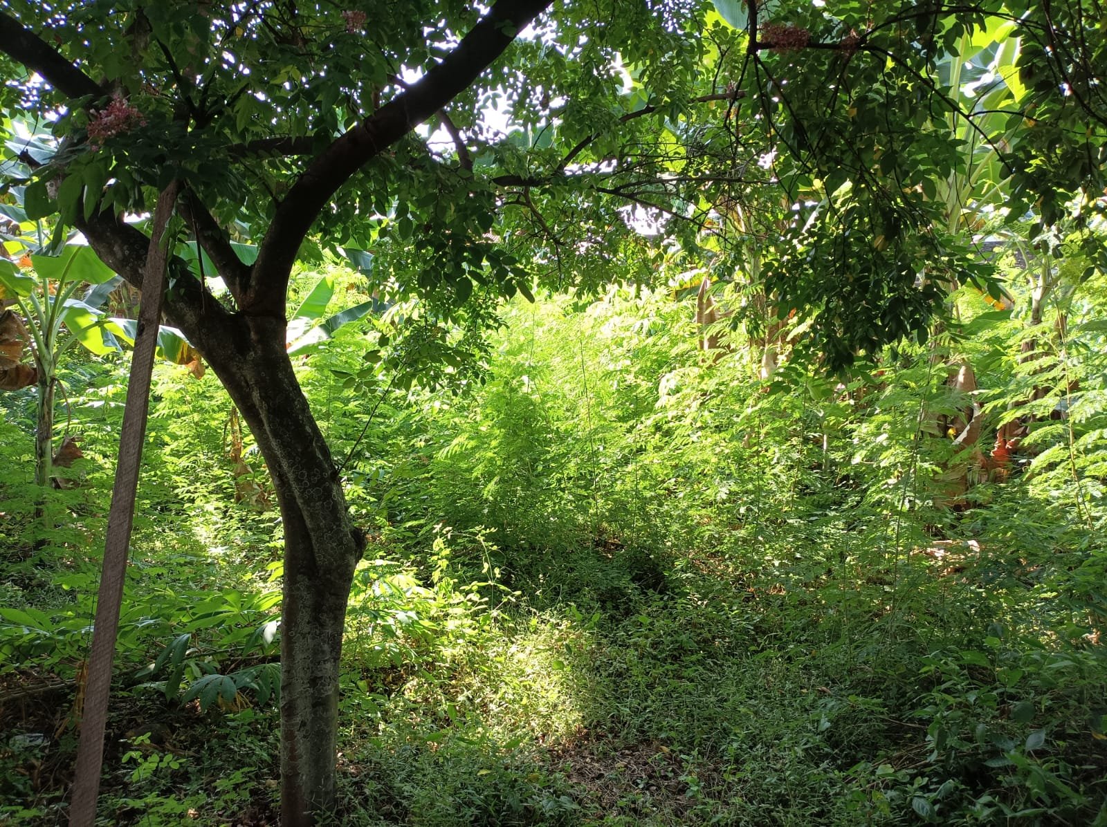 WhatsApp Image 2024-07-07 at 18.58.14