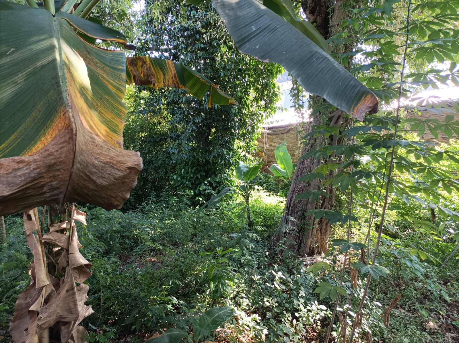 WhatsApp Image 2024-07-07 at 18.58.15