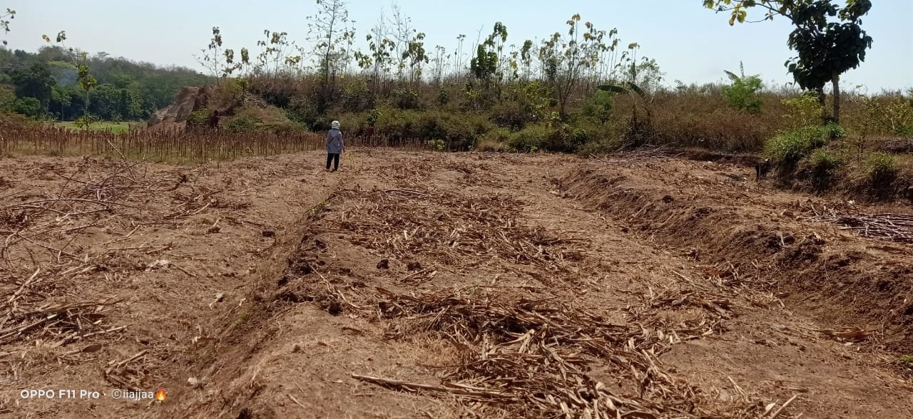 WhatsApp Image 2024-08-14 at 12.16.27