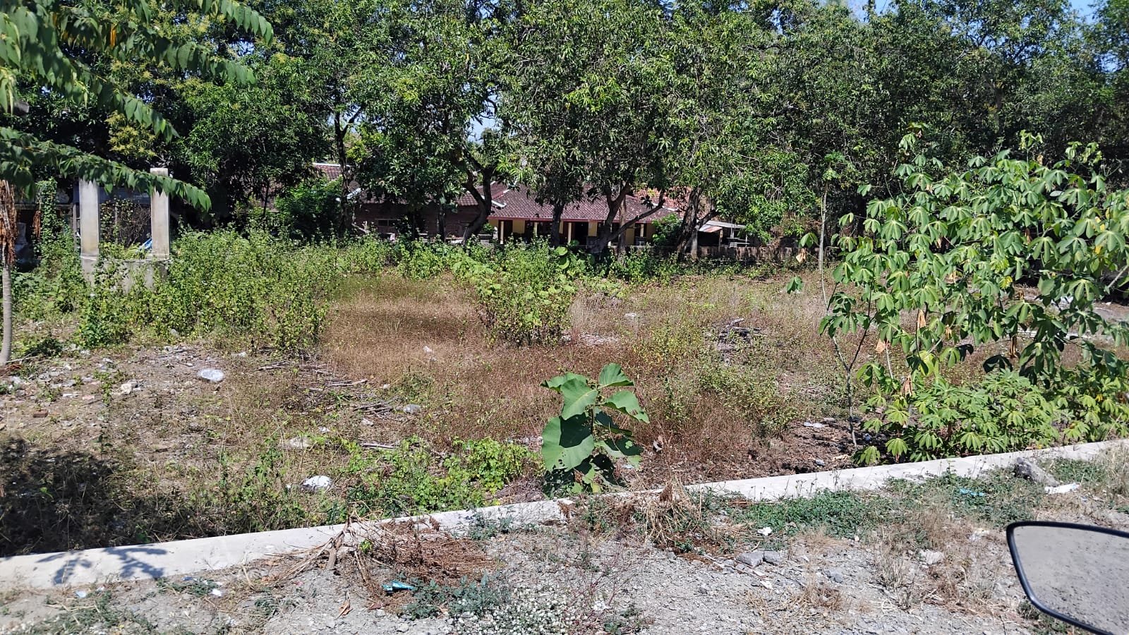 WhatsApp Image 2024-08-14 at 12.16.28