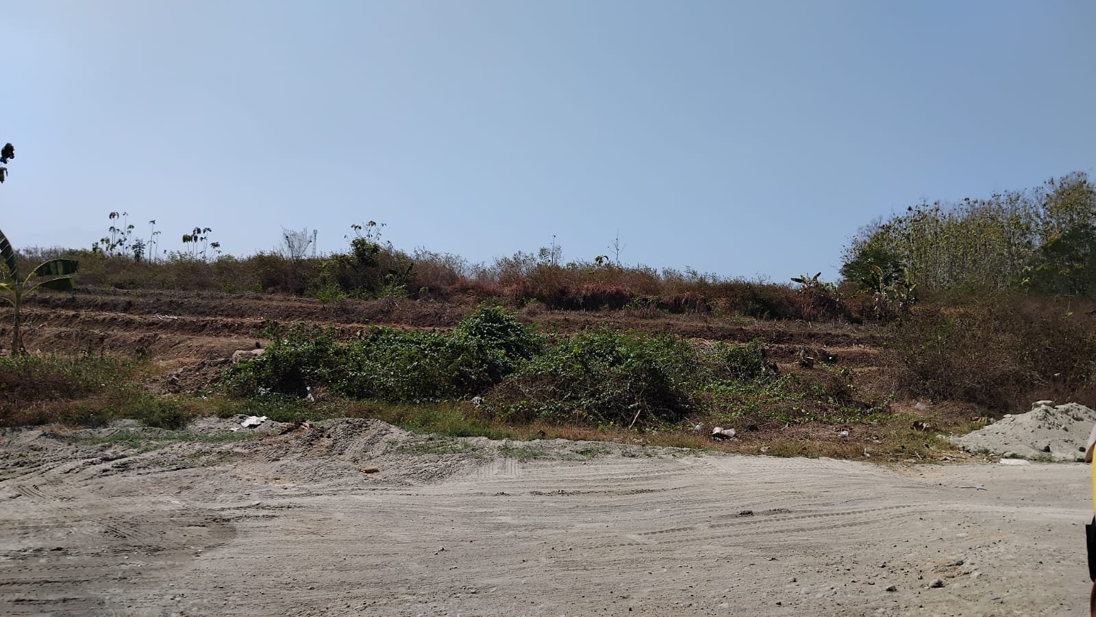 WhatsApp Image 2024-08-14 at 12.16.29