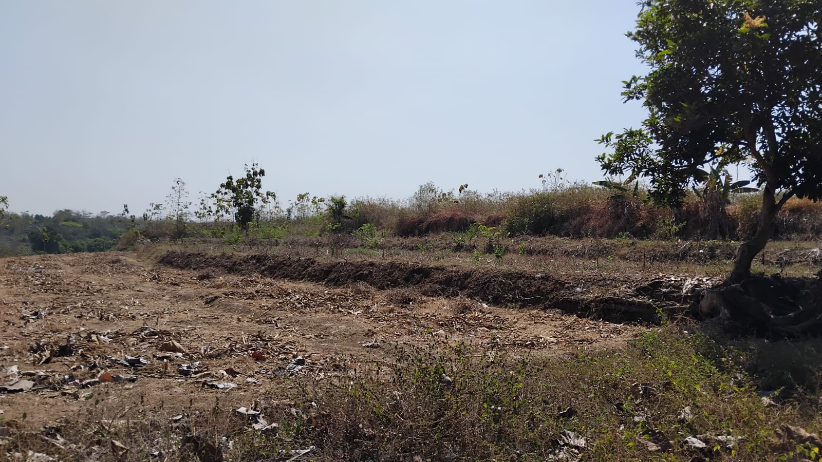 WhatsApp Image 2024-08-14 at 12.16.32 (1)