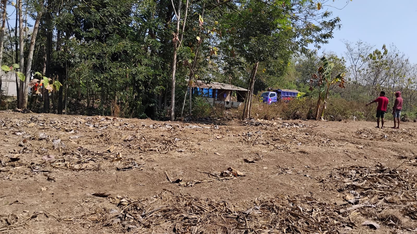 WhatsApp Image 2024-08-14 at 12.16.32