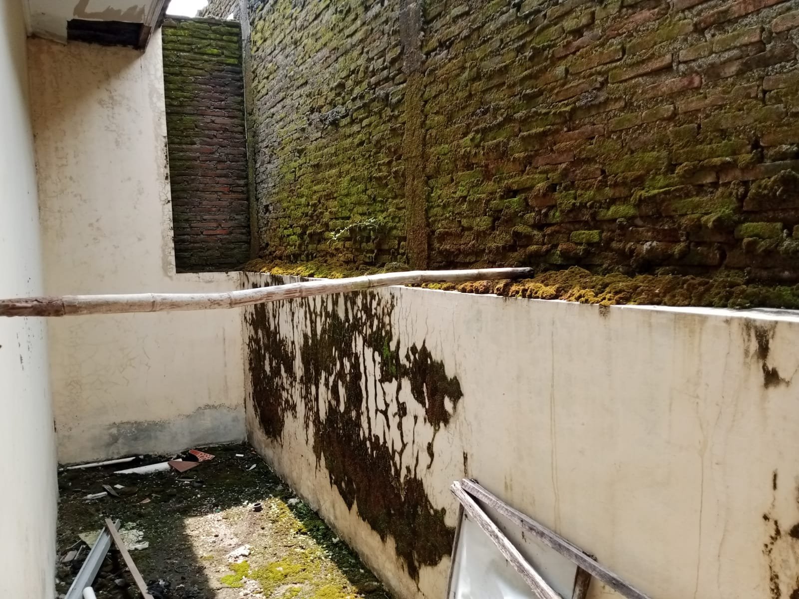 WhatsApp Image 2024-08-14 at 16.34.39