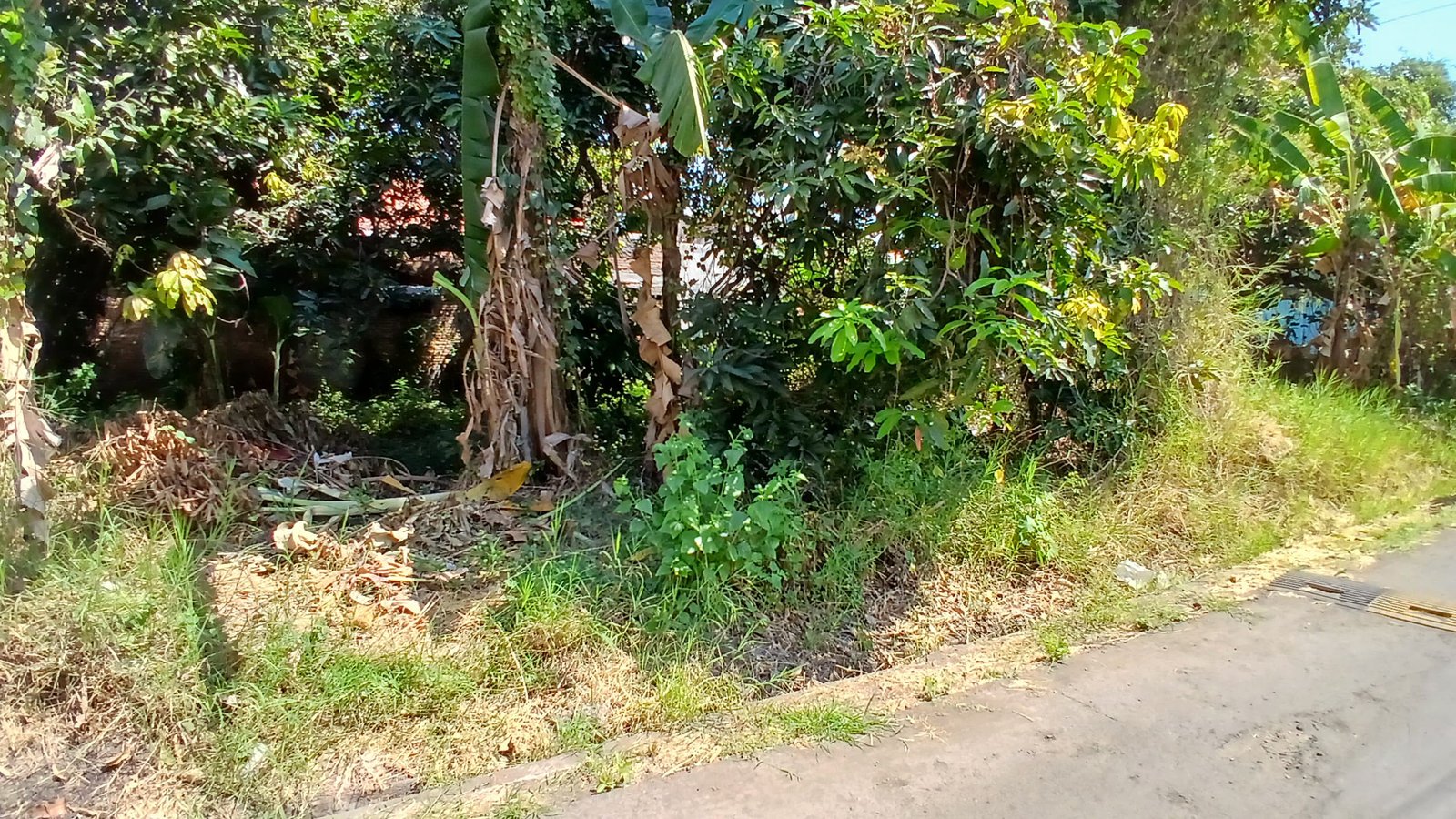 WhatsApp Image 2024-08-20 at 10.58.39 (1)