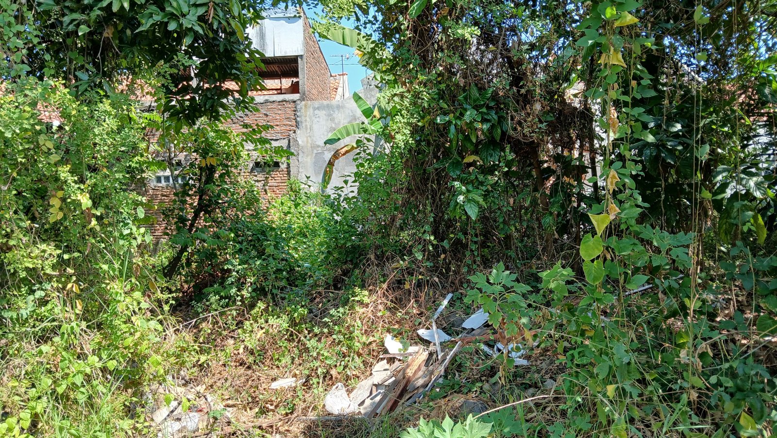 WhatsApp Image 2024-08-20 at 10.58.42