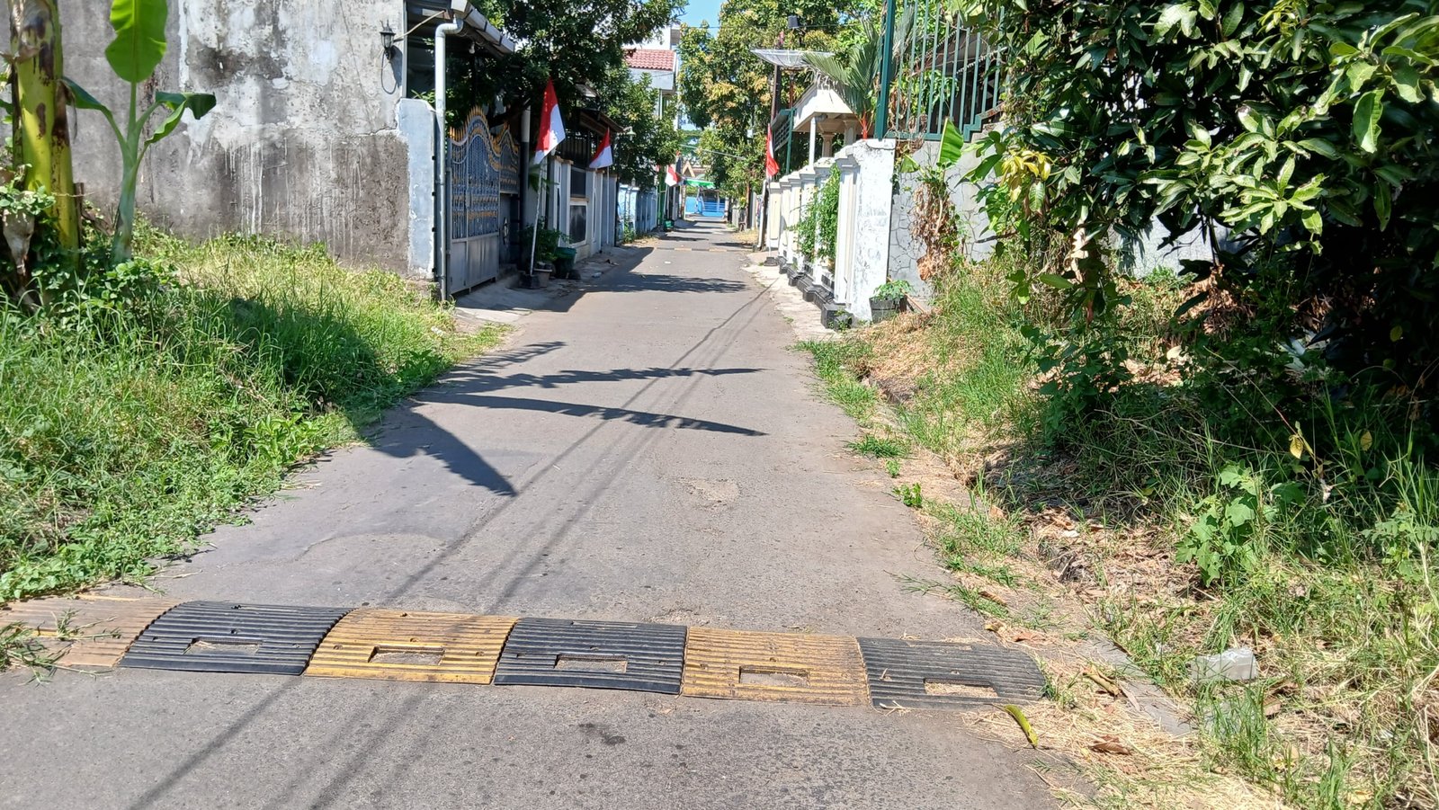 WhatsApp Image 2024-08-20 at 10.58.43