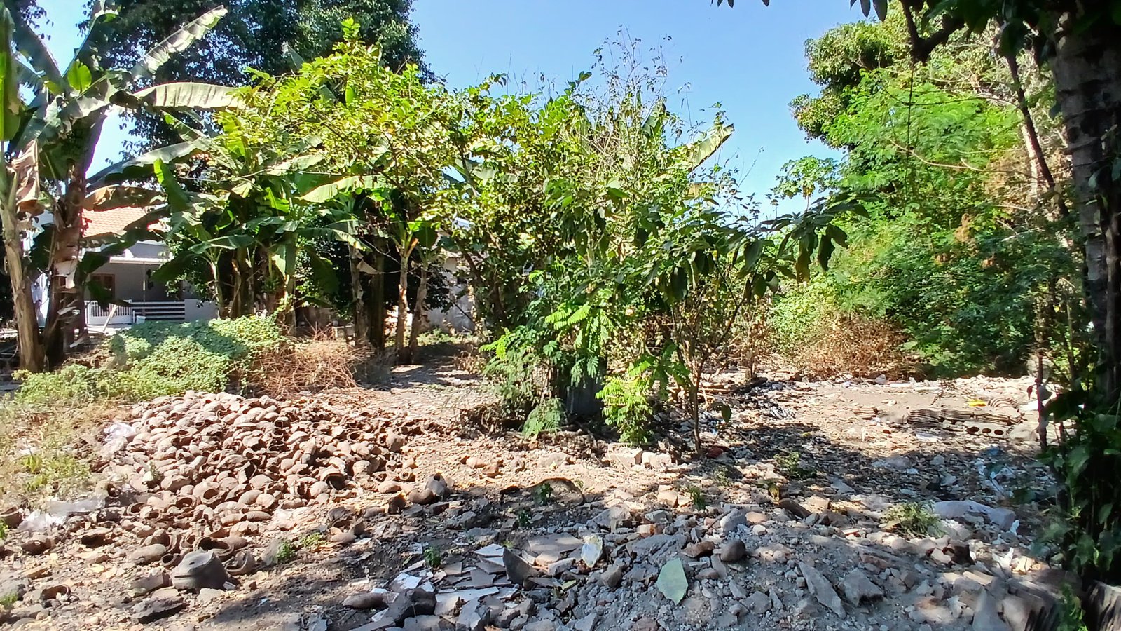 WhatsApp Image 2024-08-20 at 11.02.46 (1)