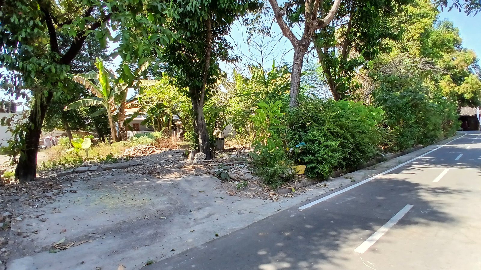 WhatsApp Image 2024-08-20 at 11.02.46 (2)