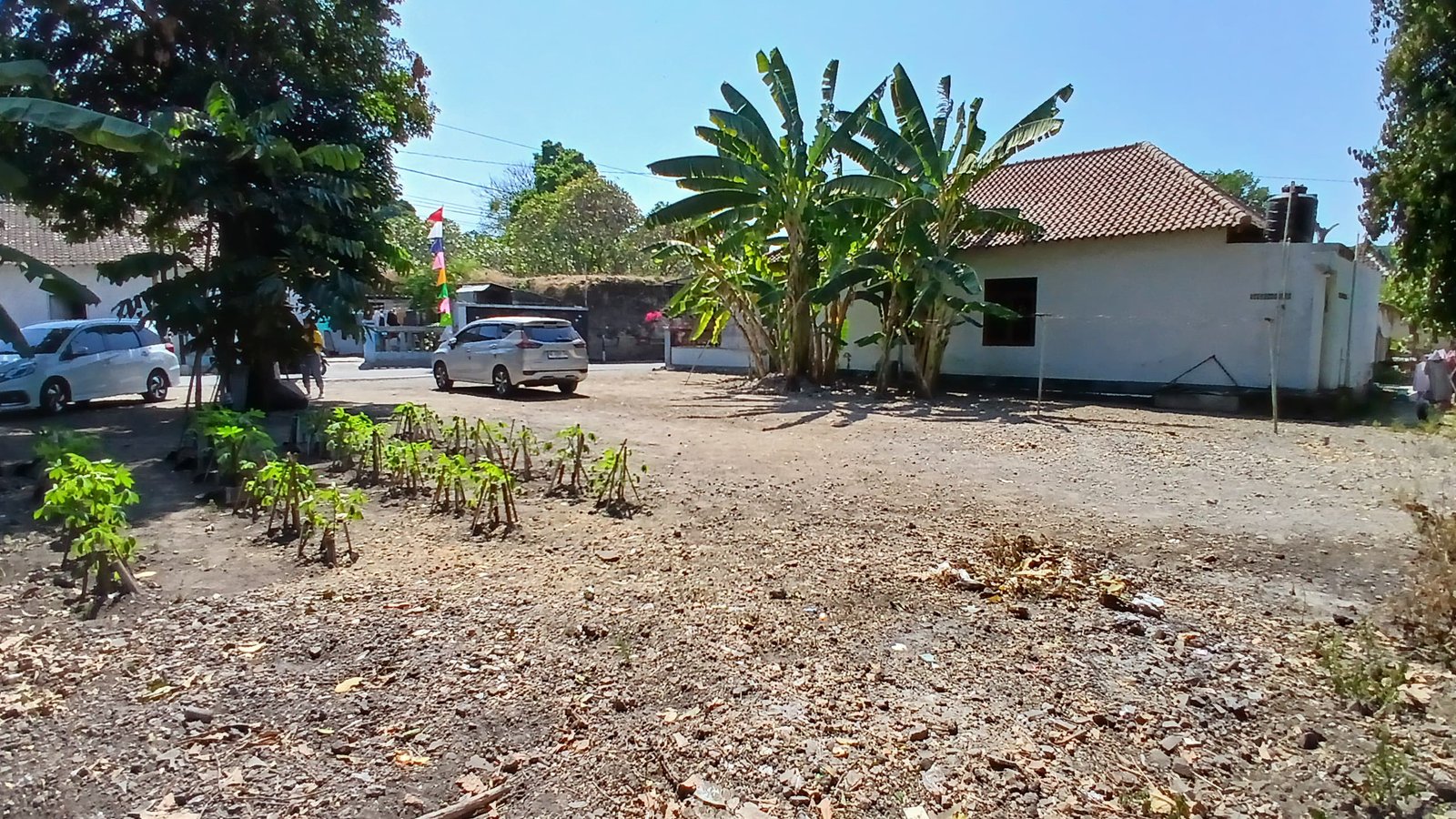 WhatsApp Image 2024-08-20 at 11.02.46