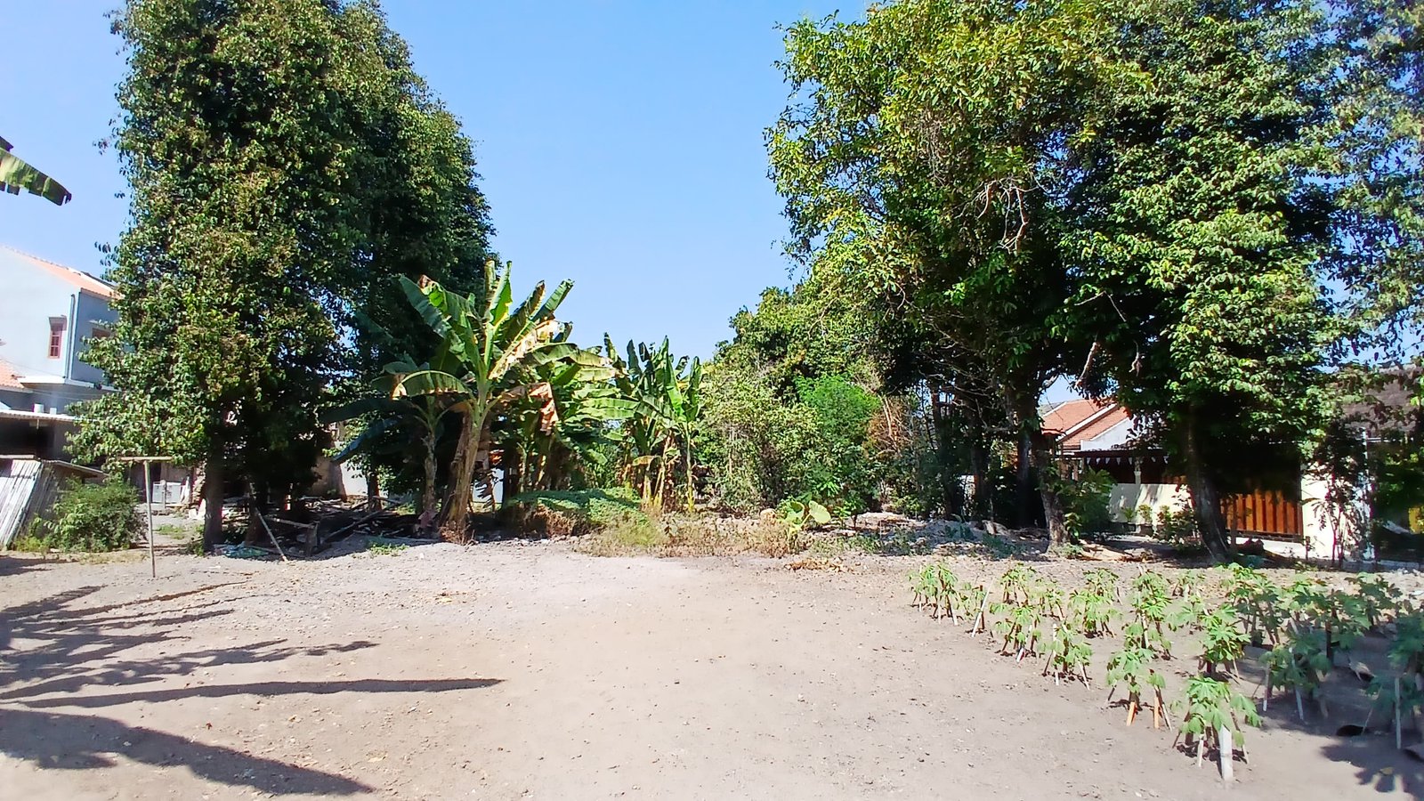 WhatsApp Image 2024-08-20 at 11.02.48