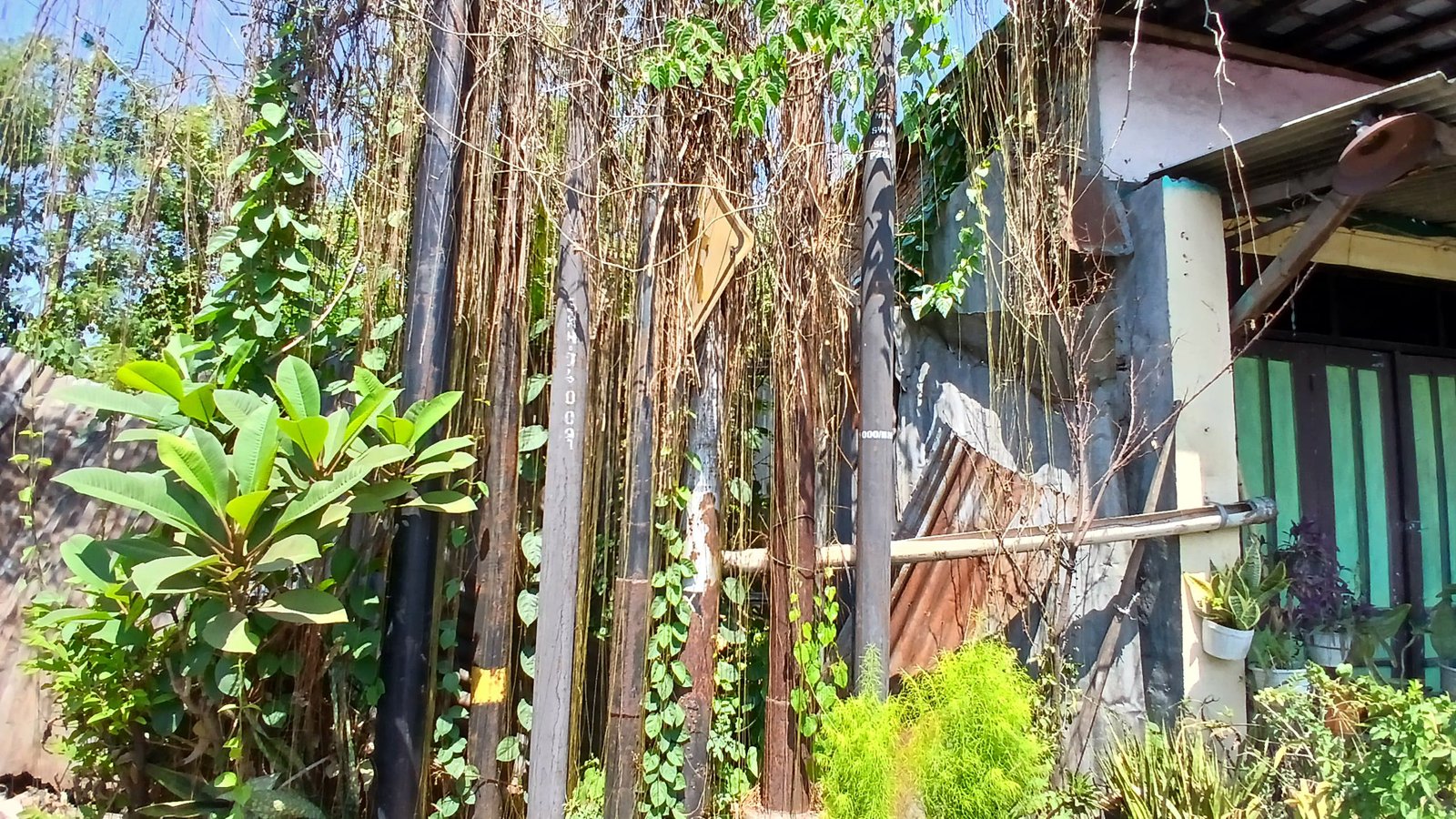 WhatsApp Image 2024-08-20 at 11.08.48