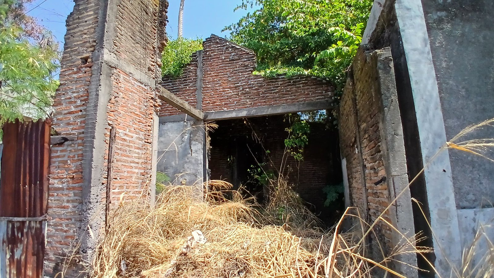 WhatsApp Image 2024-08-20 at 11.08.49