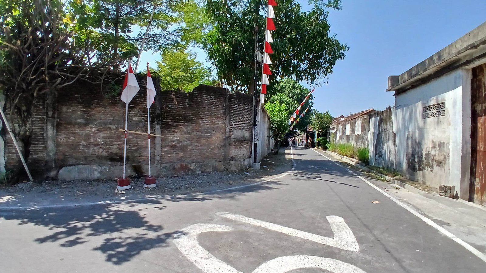 WhatsApp Image 2024-08-20 at 11.12.38