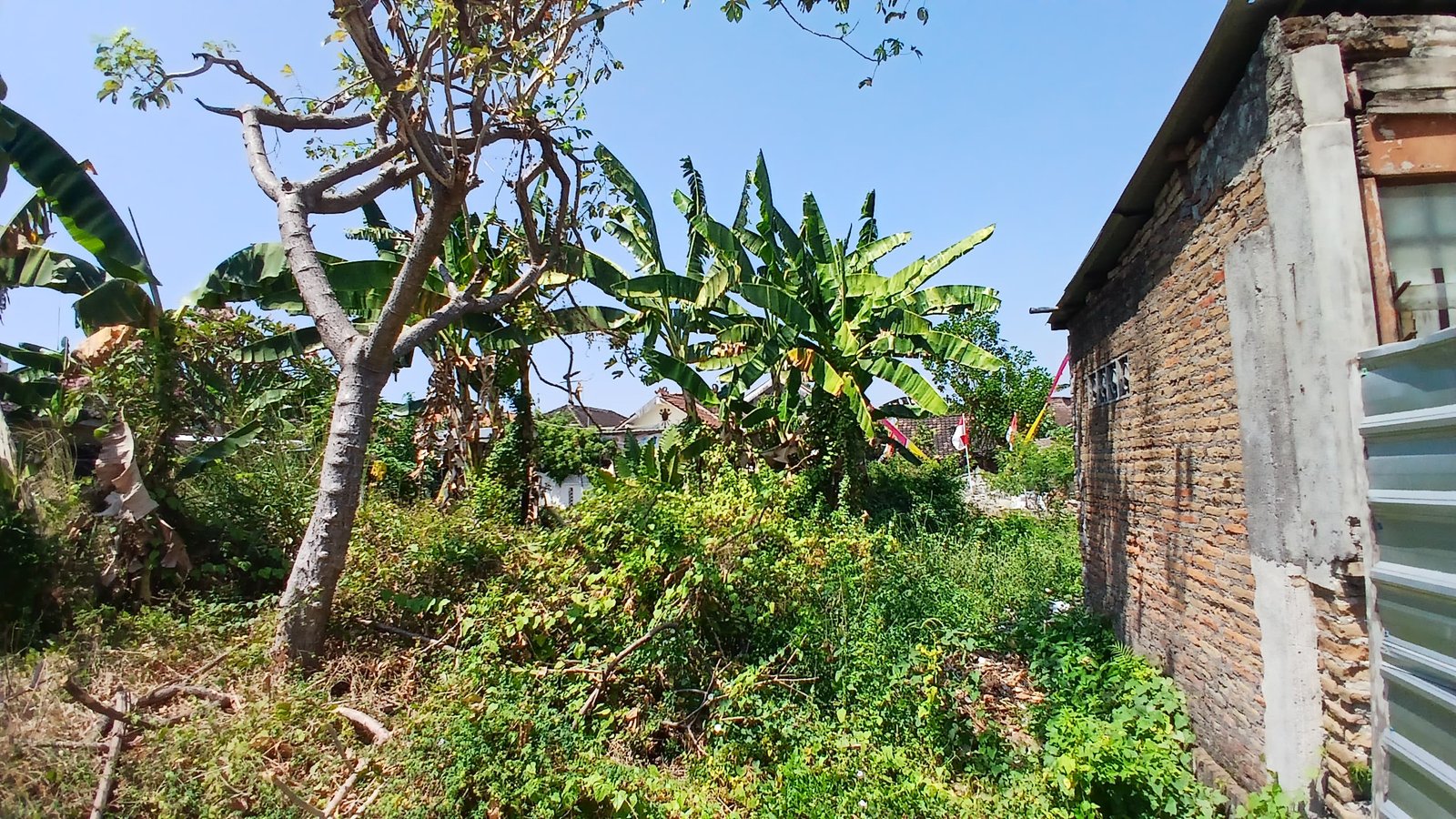 WhatsApp Image 2024-08-20 at 11.15.20 (1)