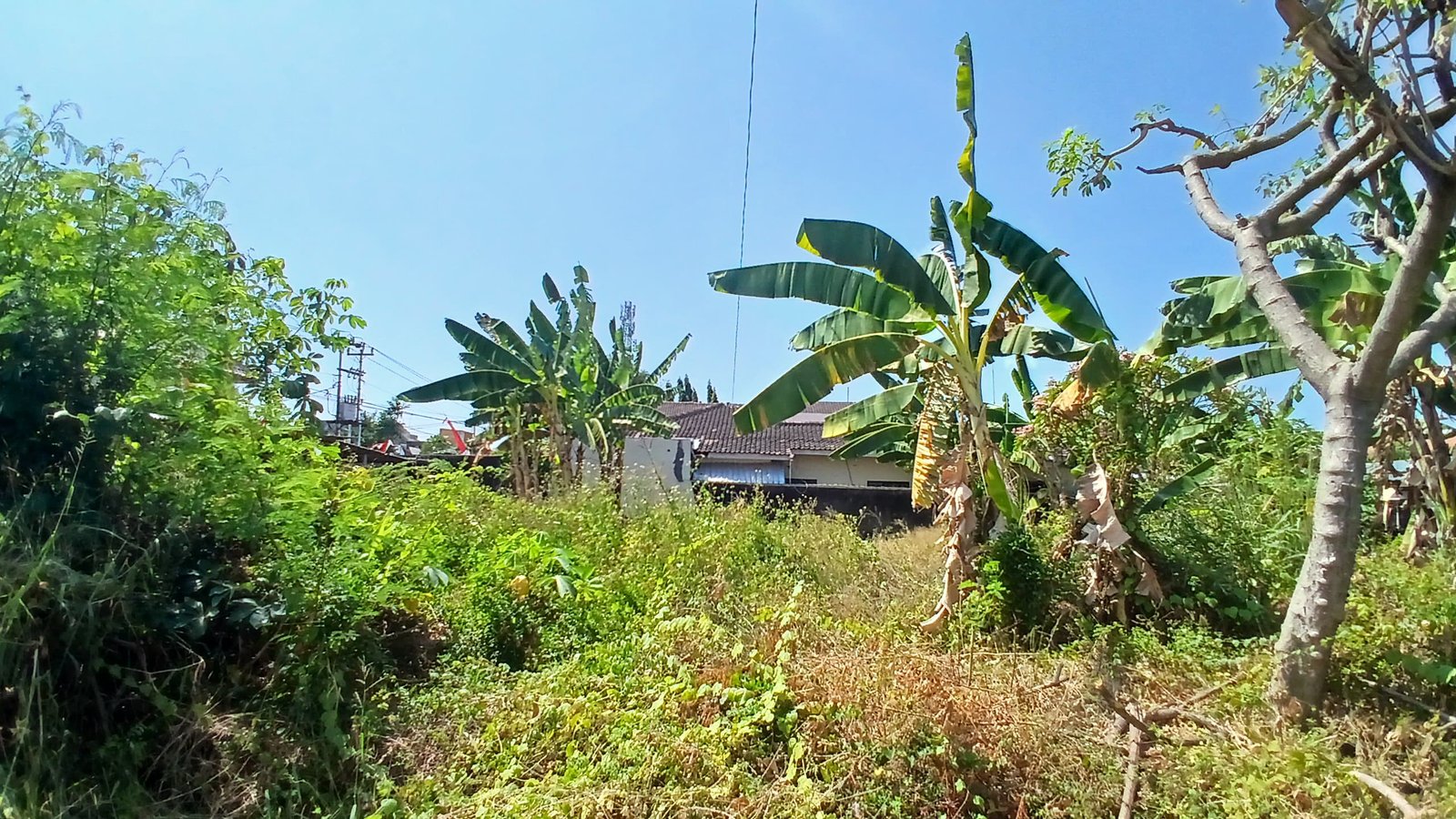 WhatsApp Image 2024-08-20 at 11.15.20