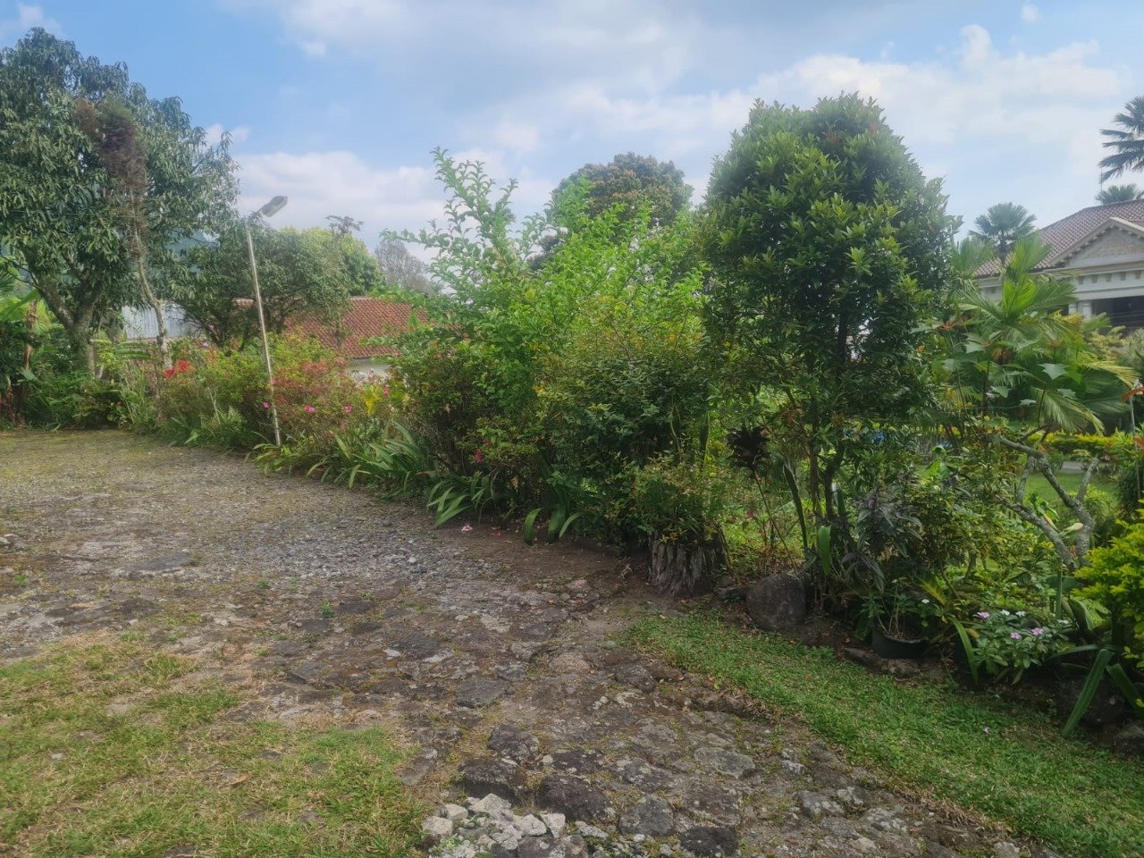 WhatsApp Image 2024-08-21 at 12.03.30 (1)