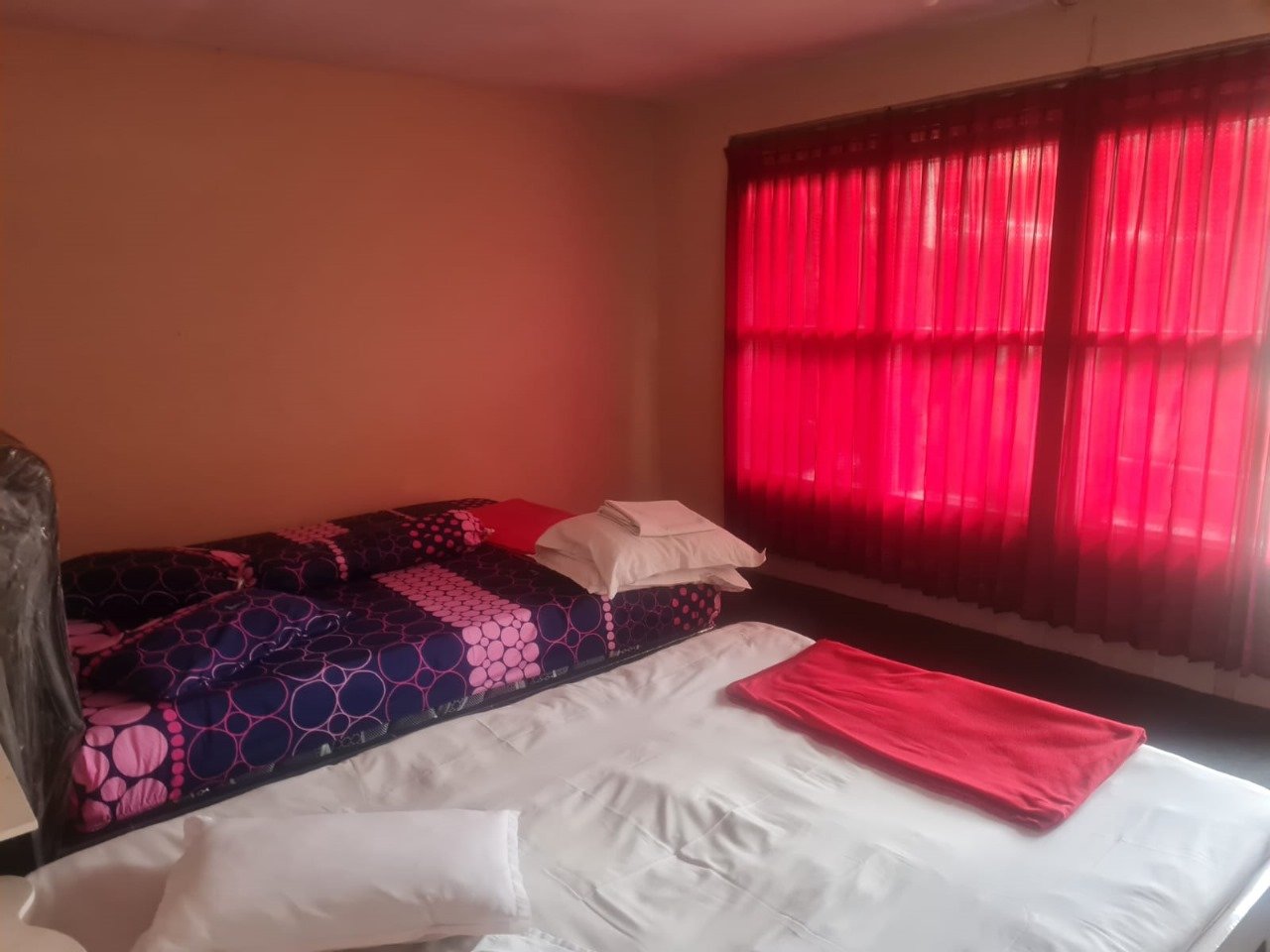 WhatsApp Image 2024-08-21 at 12.03.32 (1)