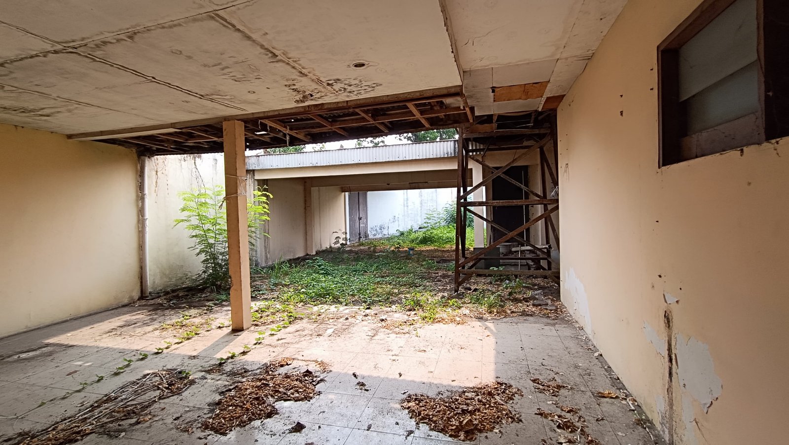 WhatsApp Image 2024-09-28 at 11.41.43