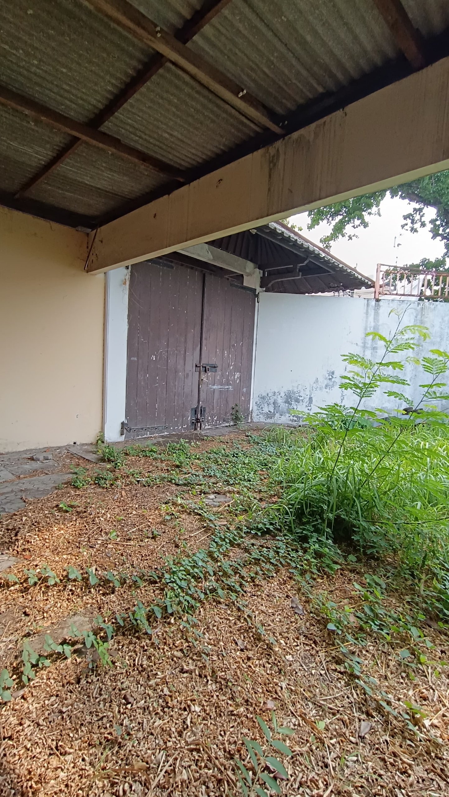 WhatsApp Image 2024-09-28 at 11.41.44 (2)