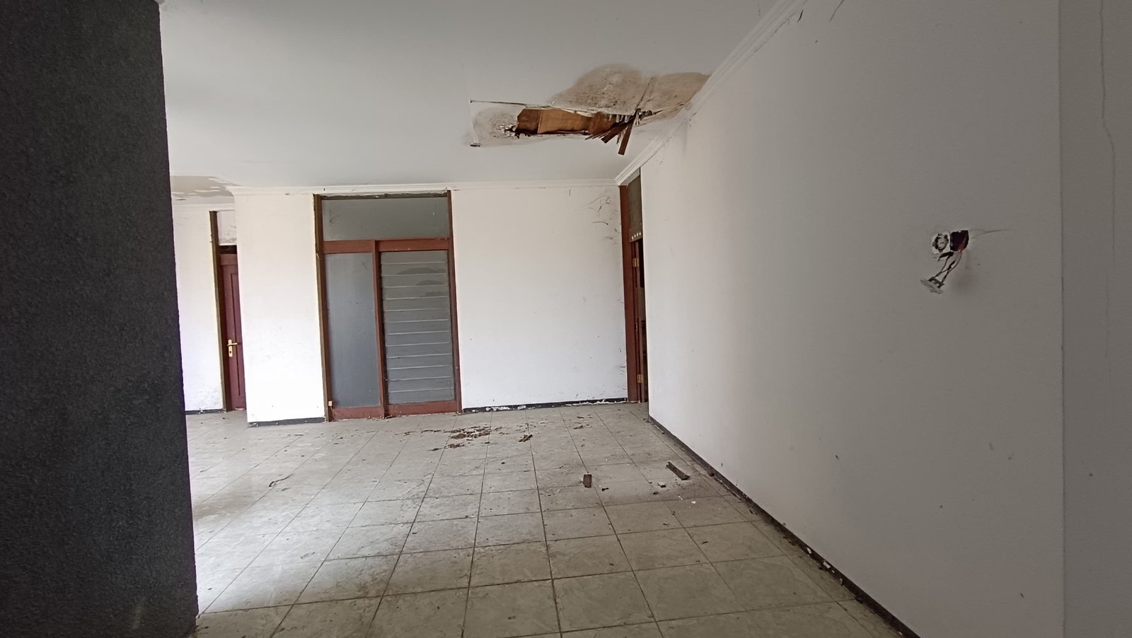 WhatsApp Image 2024-09-28 at 11.41.45