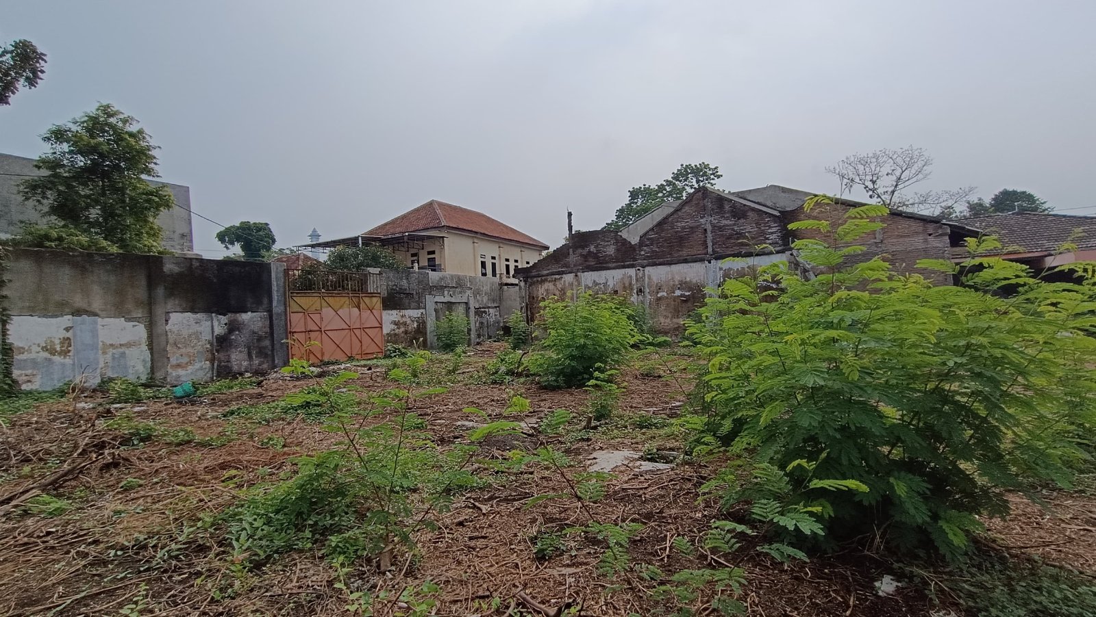 WhatsApp Image 2024-09-28 at 11.41.46 (1)