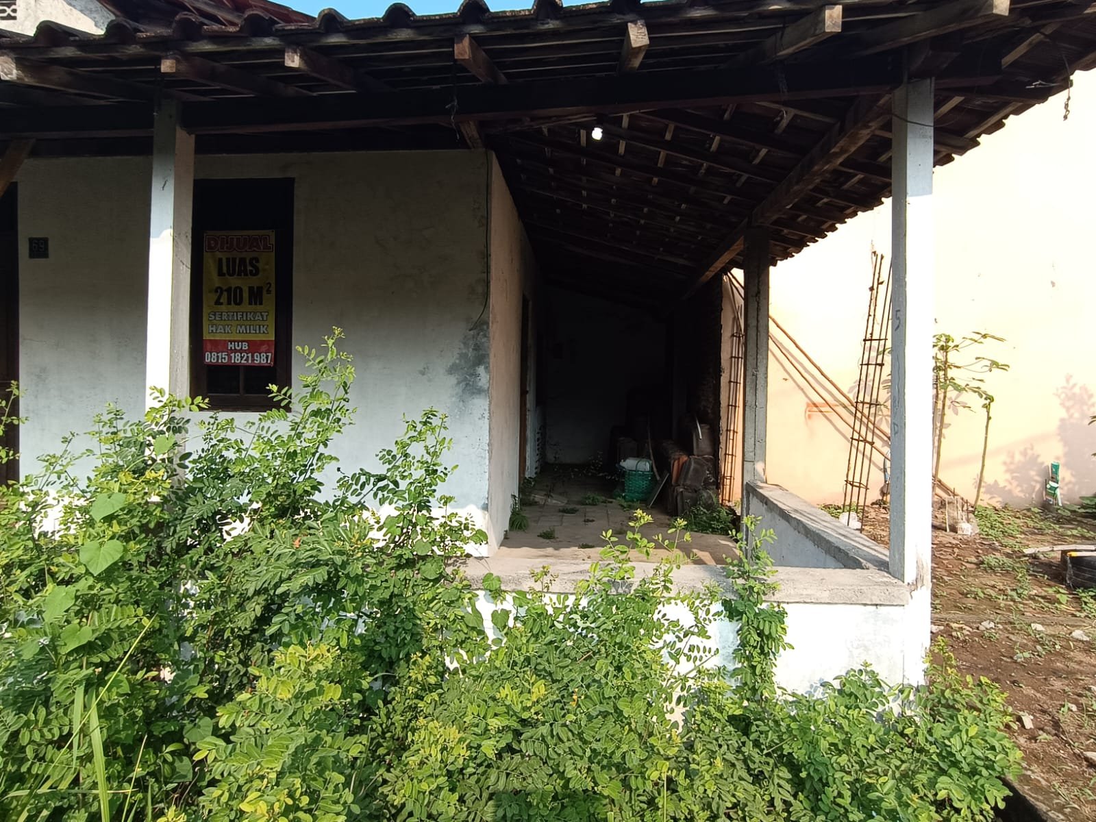 WhatsApp Image 2024-09-30 at 08.52.35