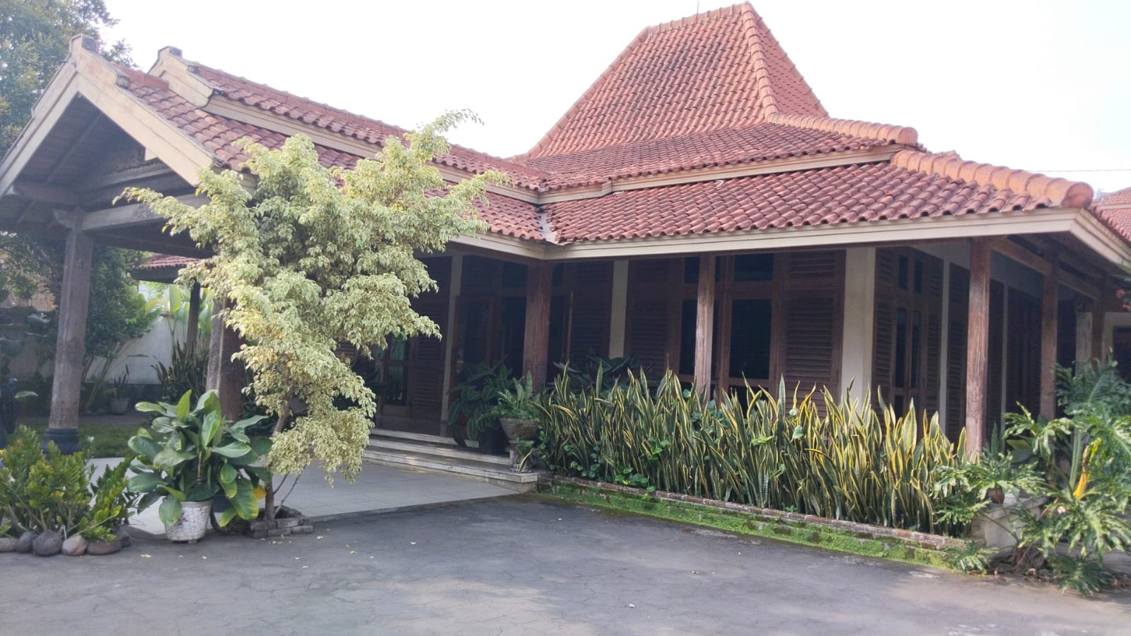 WhatsApp Image 2024-10-03 at 20.22.54